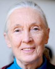 Jane Goodall