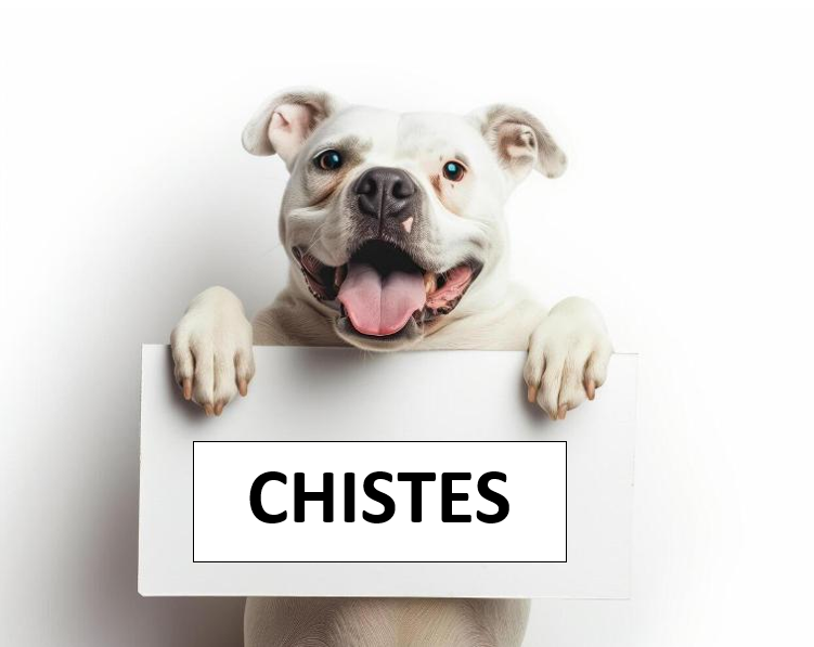 Cartel de chistes